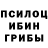Псилоцибиновые грибы Magic Shrooms Architrend Architrend
