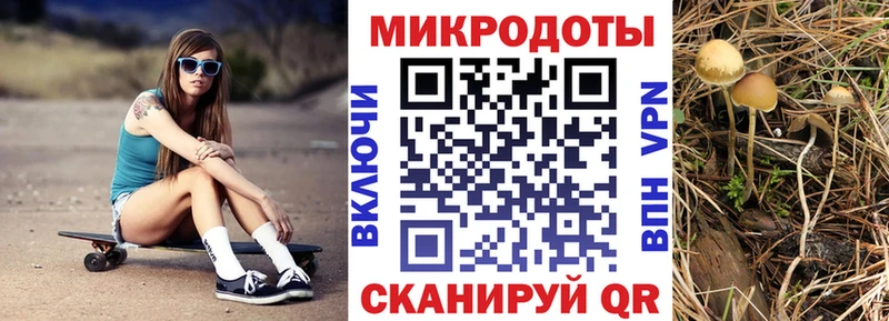 Псилоцибиновые грибы мухоморы  Купить  Нерчинск 