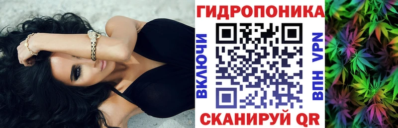 Бошки Шишки White Widow  Купить закладки  Нерчинск 